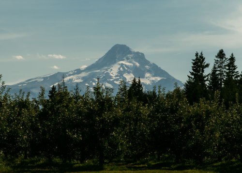 2025Zak_MadelineWedding-33