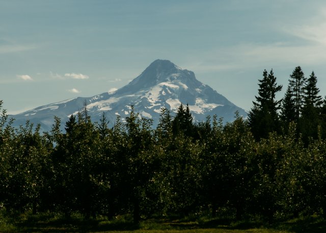 2025Zak_MadelineWedding-33