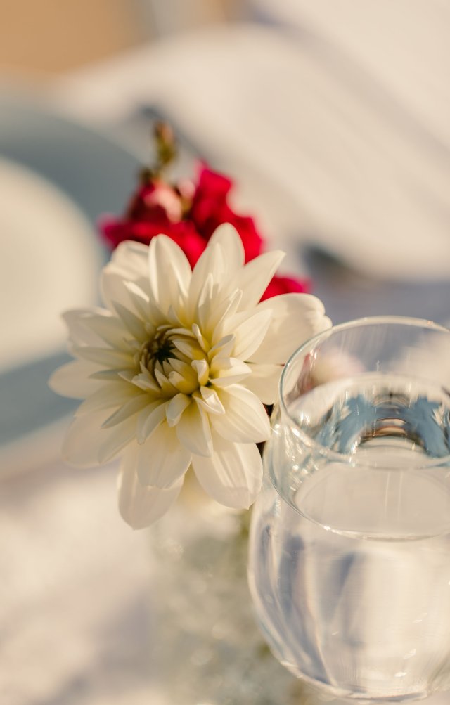 2025Zak_MadelineWedding-373