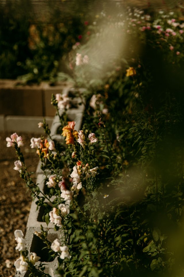 2025Zak_MadelineWedding-42