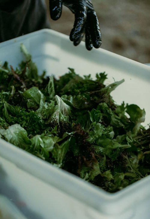 2025Zak_MadelineWedding-433