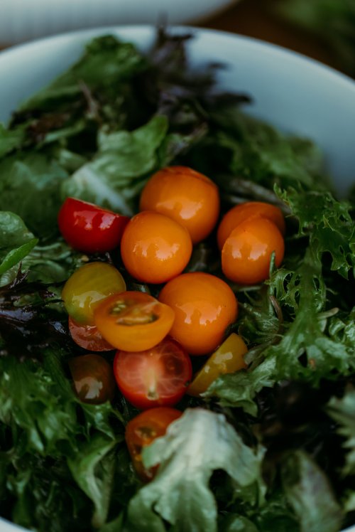 2025Zak_MadelineWedding-438