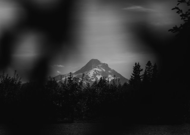 2025Zak_MadelineWedding-43