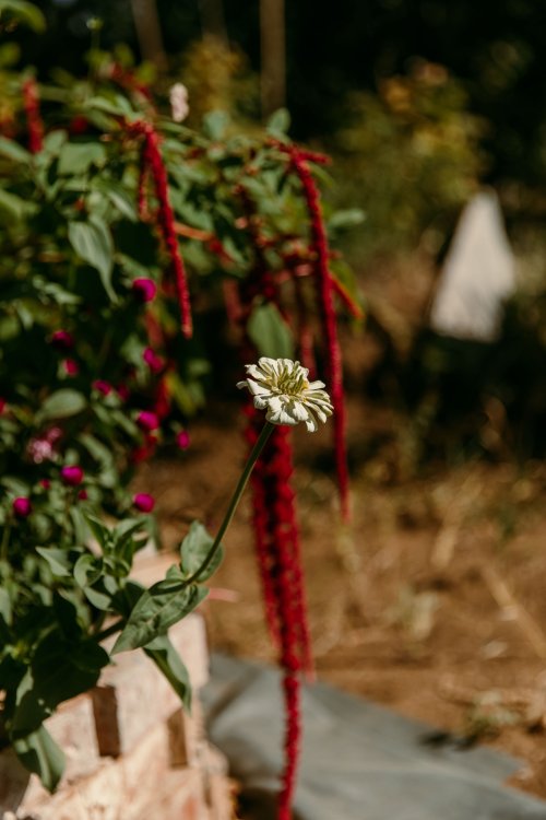 2025Zak_MadelineWedding-46