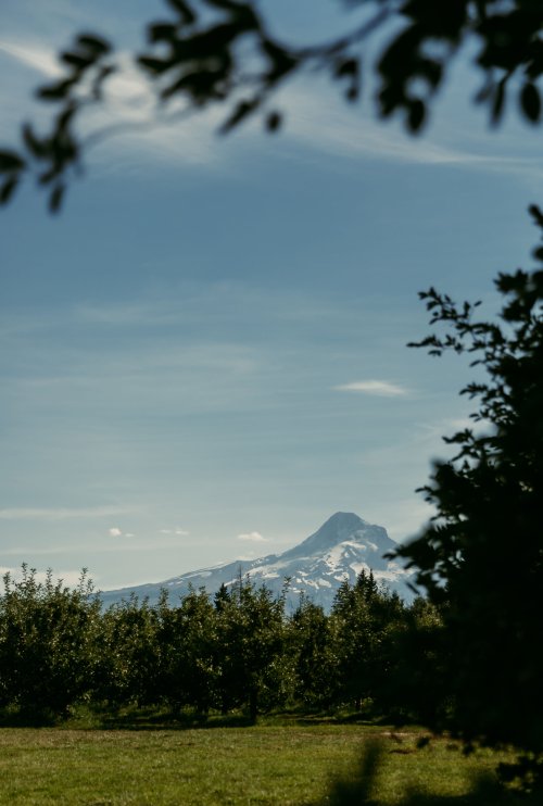 2025Zak_MadelineWedding-59