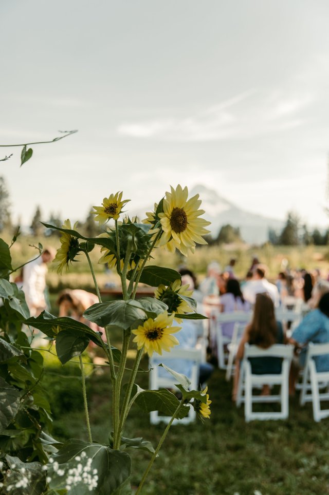 2025Zak_MadelineWedding-76