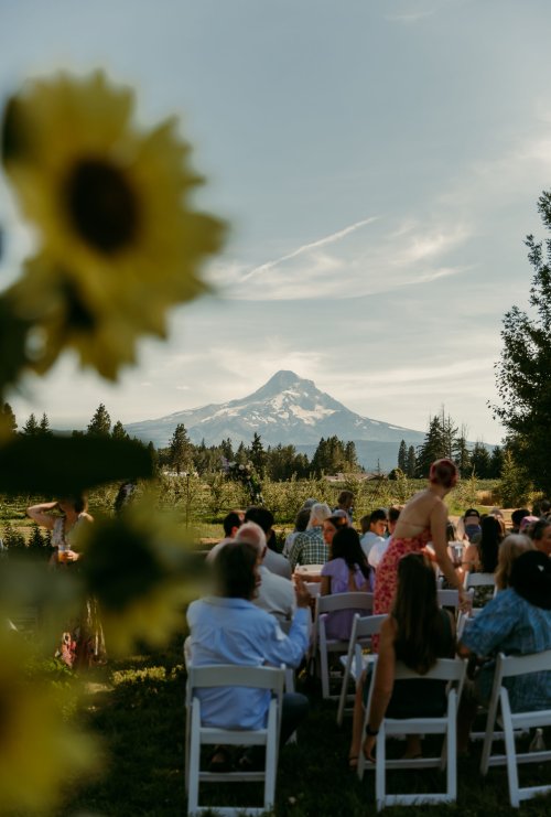 2025Zak_MadelineWedding-78